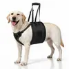 Novo arnês auxiliar da Amazon para cães idosos e deficientes, coleira refletiva e ajustável para animais de estimação, atacado