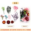 Flores secas naturales, flores eternas, flores artificiales, materiales hechos a mano para manualidades DIY infantiles para preescolar, abanicos redondos autoadhesivos y arte con pegatinas
