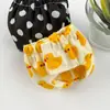 Fraldas para Esquilos, Fraldas Laváveis, Suprimentos para Passeio, Treinamento, Limpeza, Absorção de Água, Suprimentos para Pequenos Animais