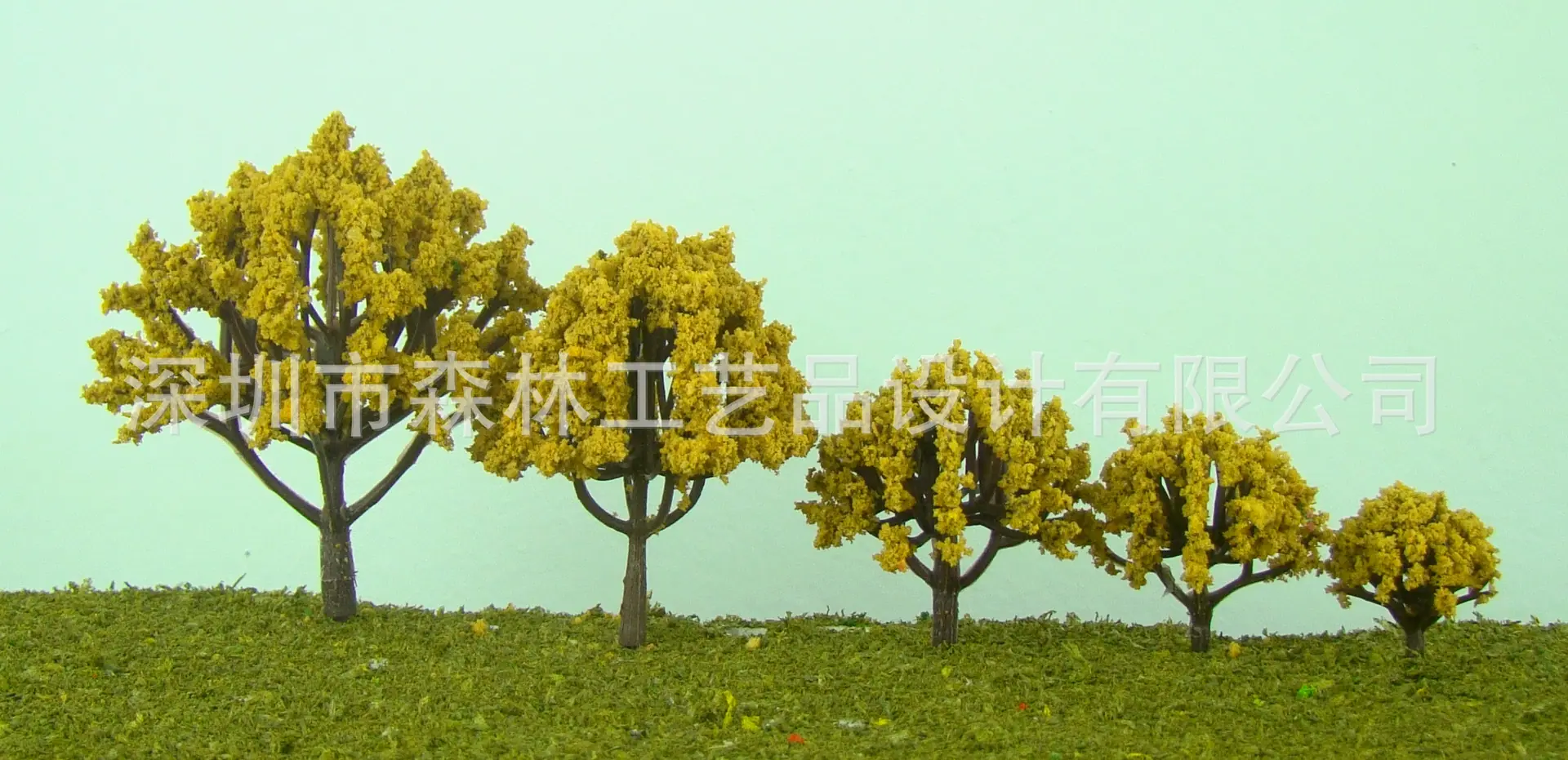 半圆球树-枯黄