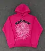 Blockbuster original de comercio exterior 450G chalecos acolchados de terciopelo para pastel sudadera con estampado de araña de espuma sudaderas Sp5der