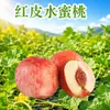 Melocotón Rojo de Shandong, entrega directa 3/ 2.5kg Melocotón de Piel Roja, jugoso y dulce, caja de regalo de melocotón, caja colorida, fruta fresca