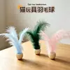 Brinquedo para Gato Brinquedo Basculante, Varinha Pegador de Gato de Badminton, Brinquedo de Brincar para Pet, Autoentretenimento para Gato, Alívio do Tédio, Acessórios para Gato # #