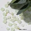 Joias para manicure Camélia com glitter novas atacado cor Moonlight acessórios para unhas decoração de flor rosa estéreo branca