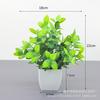 Planta verde artificial bonsai decoração de paisagem de mesa interna planta pequenos ornamentos eucalipto Lysiana decoração de casa flor