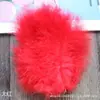 28 Colores Accesorios para joyería diy Paquete pequeño Pluma Cola puntiaguda Pluma de plumón Bola de ondas Material de plumas decorativas