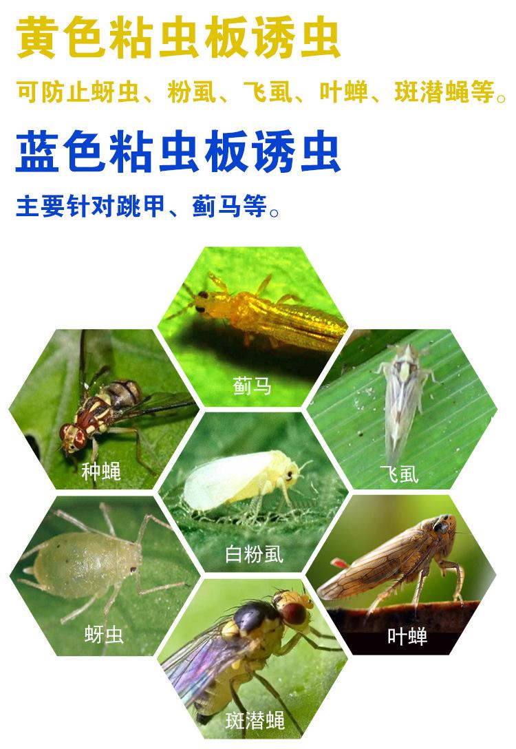 黄板详情图_07.jpg