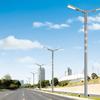 Refletores LED de Poste Alto para Áreas Cênicas Rurais 12-40m Iluminação Externa Postes de Luz de Rua de Braço Duplo Luzes para Área Cênica