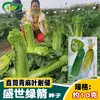 Sementes de Repolho Flecha Verde Shengshi de Huazhou: Coração Amarelo, Folhas Verdes, Talos Verdes - Sementes de Repolho para Hortas e Uso em Fazendas Caseiras