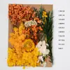 Bolsa de Materiales DIY Flor Seca Inmortal Tuanjian Marco de Fotos Pintura Tarjeta de Felicitación Tuanfan Ramo Pequeño Hecho a Mano Flor Real Bolsa de Flores en Relieve