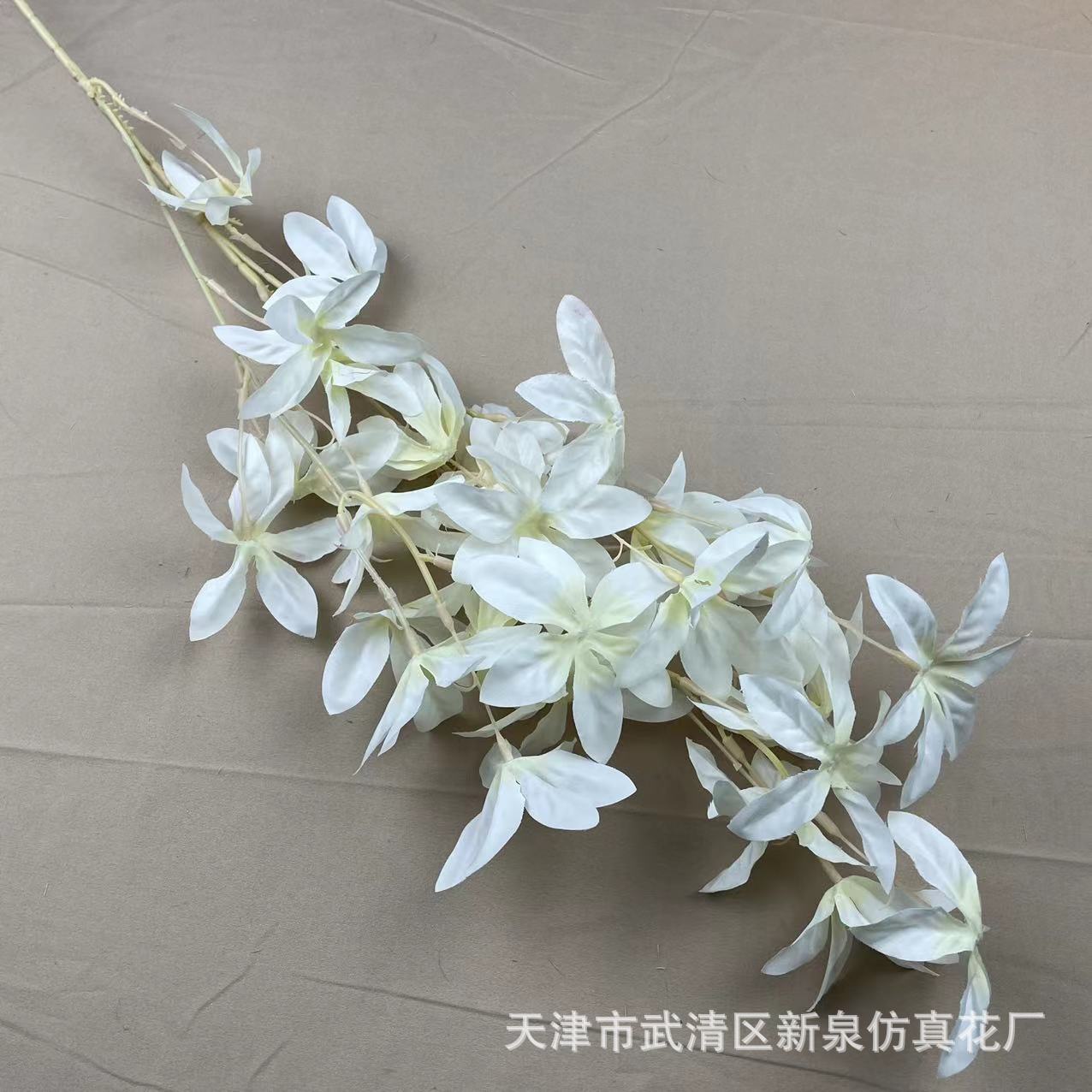 509b1778c1cefec3c7d1198512cf25