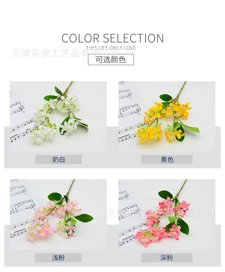 详情_02.jpg