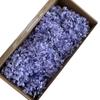 Hortênsia de madeira eterna flor mid-leaf Rosa eterna caixa de presente de vidro tampa flor Flor preservação decoração de casamento cocar de noiva