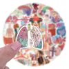 60 Pegatinas Personalizadas de Graffiti de Anatomía Humana Transfronterizas Traje Maleta Taza de Agua Patinete Venta al por Mayor