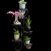 2024 Estante de Flores de Ferro para Sala de Estar Nova Varanda Suporte de Vaso de Planta Suculenta de Ferro de Chão Prateleira de Armazenamento Multicamadas