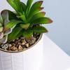 Fornecimento de Fábrica Vaso de Cerâmica Branco Plantador de Suculentas para Ornamentos Carnudos Transfronteiriços