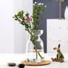 Jarrón hidropónico nórdico al por mayor flores cultivadas en agua utensilios para arreglos florales mesa de comedor ins decoración suave jarrón pequeño