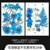Botella transparente marcapáginas de flor seca estudiante niños actividad manual DIY flor real relieve espécimen de planta pegatina para diario de mano