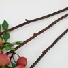 Fruta Artificial Lichi Ramas Producto Terminado Decoración Sala de Estar Arreglo Floral Arte Pastoral Sala de Estar Exhibición de Ventana Flores Falsas Mayoreo