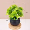 Atacado de fabricantes flores artificiais e plantas verdes vasos de plástico suculentas artificiais com bonsai criativo decorações de mesa de escritório pequenos ornamentos