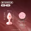 Perlas anales, juguetes SM, productos para el placer femenino, estimulador anal, tapón anal con forma de pata de gato y rosa, juguetes sexuales para adultos al por mayor