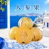 Fruta de Ginseng Shilin de Yunnan, entrega directa 3/ 2.5 kg Fruta de ginseng madurada en el árbol, jugosa, dulce, tamaño mediano a grande, fruta fresca