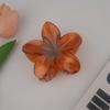 Pinza de Agarre con Forma de Flor de Huevo con Gradiente Escarchado Transfronterizo Europeo y Americano Pinza de Tiburón Elegante para Mujer Pinza Grande para el Cabello de Playa
