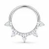 Anillo nasal cerrado sin costuras de aleación de titanio G23 con incrustaciones de circonita Zhenping, aro para tabique nasal y hueso de la oreja, joyería nasal finamente tallada F136
