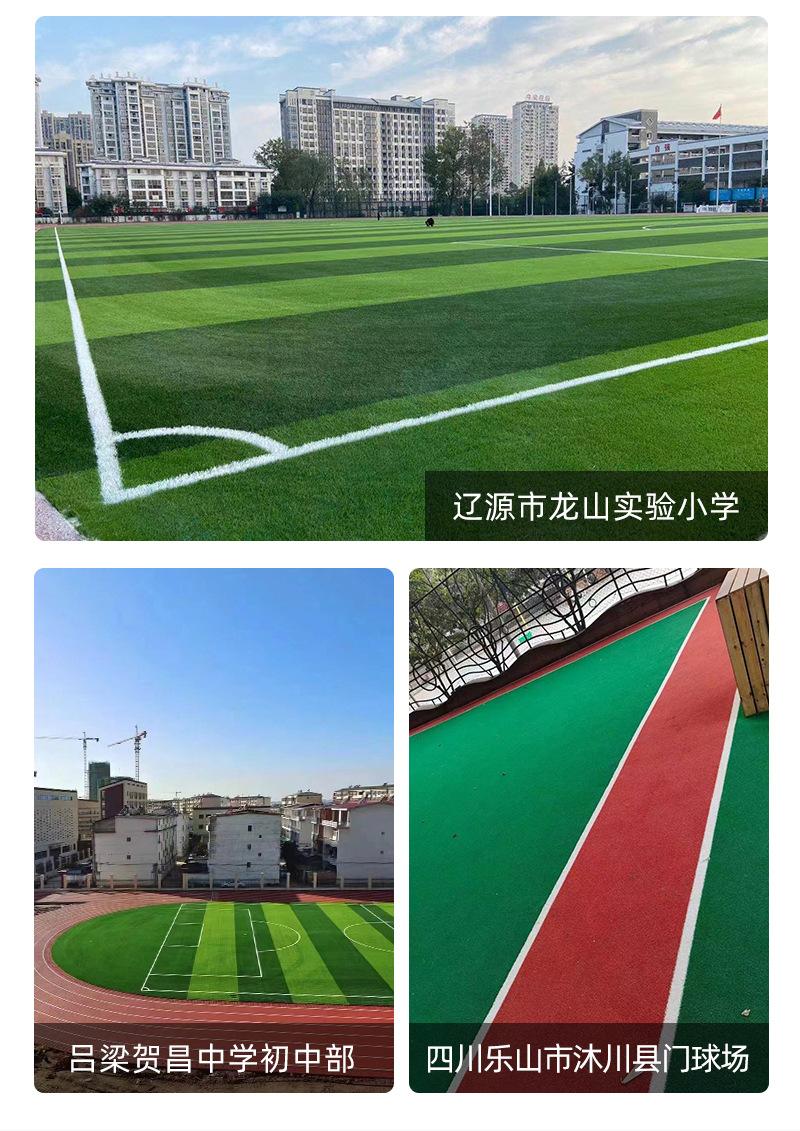 运动场草坪_13.jpg