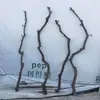 Galhos Secos, Troncos, Galhos Mortos, Madeira Morta, Troncos de Árvore, Poleiros para Pássaros, Cabides de Parede, Galhos de Teto, Enfeites Decorativos