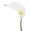 Flor artificial tacto cala comercio exterior transfronterizo venta al por mayor decoración del hogar pequeño cala mesa de sala de estar arreglo floral flores falsas