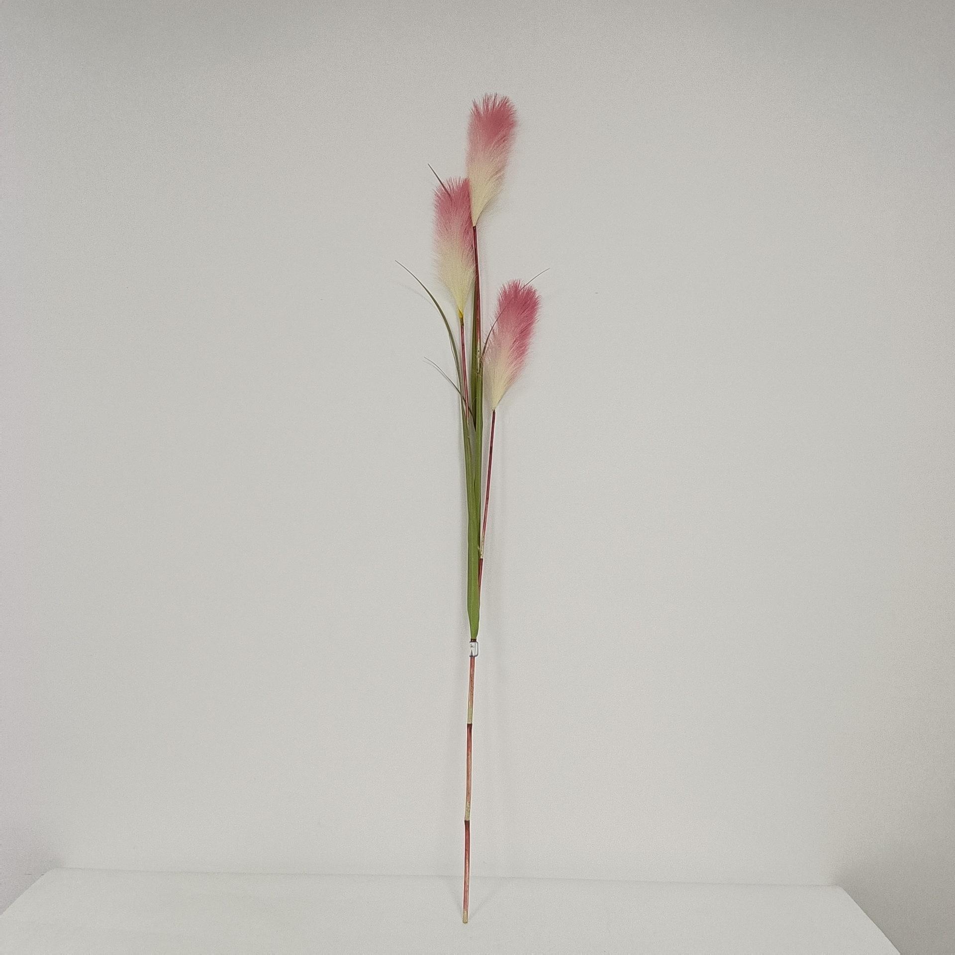 1.45米3头套管芦苇4.jpg