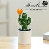 Maceta de Plástico con Flor Falsa, Suculenta Artificial Cactus Tropical Bonsái, Pequeños Adornos Creativos, Suministro Directo de Fábrica de Plantas Verdes
