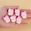 Micro-Paisaje Color Sólido Flor de Cerezo Chiikawa Adornos Casa de Muñecas DIY Hogar Creativo Adornos Pequeños Decoraciones de Oficina