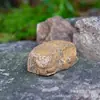Caja de Almacenamiento de Llaves de Piedra Simulada de Venta Caliente Transfronteriza Artesanías de Resina Adornos Caja de Almacenamiento de Dinero Privado Oculto Venta al por Mayor