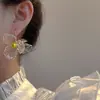 Brincos Acrílicos Transparentes Flor Aurora Retro Francês Feminino Design de Nicho Coreano Atmosfera Fada Brincos Elegantes