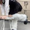 Calcetines peludos de invierno para mujer, felpa cálida, calcetines de montón para chica hot, blancos, cubre pantorrilla, leggings peludos con forro polar, cubre pies