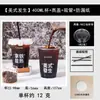 Vaso desechable de PET de 500ML con tapa para Americano helado, bebidas frías y té de leche, con impresión personalizada
