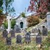 2025 Nuevo Halloween Placa de Patio Exterior Cementerio Horror Lápida Decoración de Jardín Inserto Placa Señal