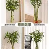 Venta Directa de Fábrica de Floreros de Plástico Imitación Vidrio de Alta Transparencia, Cubos para Flores Ecológicos, Contenedores Hidropónicos Espesados para Plantas y Botellas