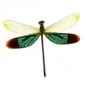 Venta Directa al Por Mayor de Fábrica de Especímenes Reales de Mariposas con Alas Extendidas, Diversos Insectos y Escarabajos, Accesorios para Fotos, Educación Científica, Especímenes Naturales