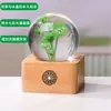 Adornos de Bola de Cristal Creativa Transfronteriza con Flor Eterna y Luces de Colores Reciclables en Monocromo como Regalo de Cumpleaños para tu Novia y Mejor Amiga