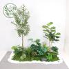 Paisajismo de Plantas Verdes Paisajismo de Balcones Decoración de Plantas Artificiales para Interiores y Exteriores Planta Viajera Plátano Espalda de Tortuga Planta Debajo de las Escaleras Paisajismo