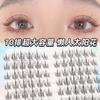 Hua Tian 10 Filas Girasol Segmento de Injerto para Principiantes Tallo Fino Super Natural Repetitivo Súper Suave Pelo de Hada Pestañas Postizas