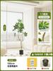 Nuevo Lujo Ligero Planta Verde Pata de Pato Madera de Pie Árbol Falso Grande Interior Sala de Estar Decoración Planta Biónica