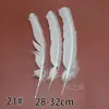 Acessórios para Joias DIY de Pena Branca Pena Branca Pena de Casamento Pena de Ganso Pena de Peru Acessórios Decorativos