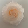 Cabeza de flor de rosa de simulación de 10 cm, fondo de pared, arco de boda, coche, material de flor transfronteriza, flor falsa manual, bricolaje, cabeza de flor decorativa