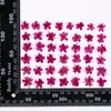 Flores de sándalo blanco teñidas, flores secas para manualidades, flores prensadas, especímenes de plantas en resina, marcos de fotos, marcapáginas, kits de materiales hechos a mano