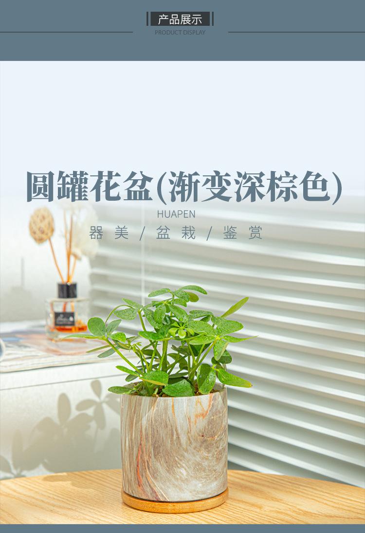 详情图05.jpg