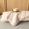 Funda de almohada anti-saliva Clase A, protector de almohada anti-aceite, funda de almohada para hotel y casa de huéspedes, par de capas aislantes anti-sudor